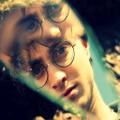 Picsart profile picture for @blindly