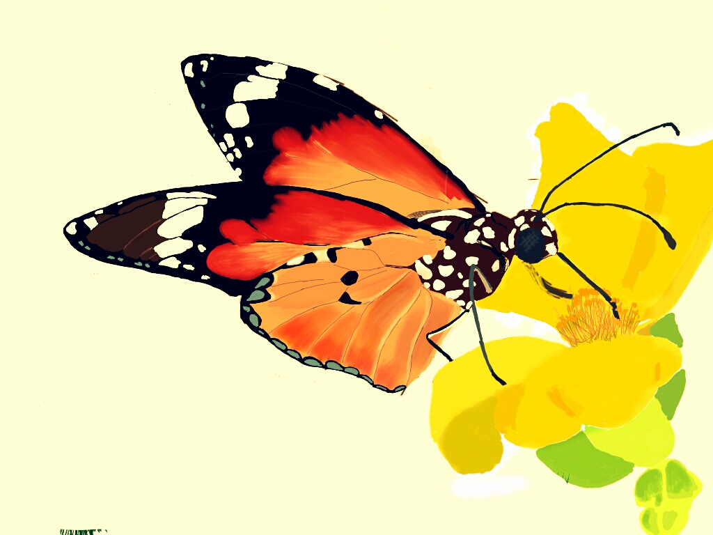 Best Butterfly Drawings From PicsArt Drawing Challenge - Create